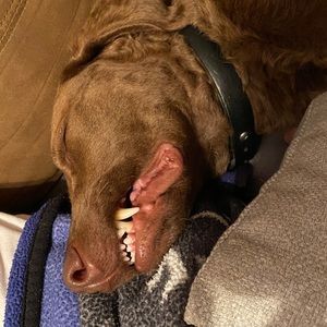 Meet your Posher, Heather